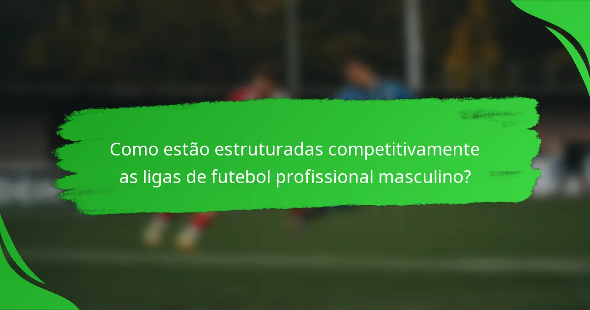 Como estão estruturadas competitivamente as ligas de futebol profissional masculino?