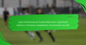 Ligas Profissionais de Futebol Masculino: Significado histórico, Formatos competitivos, Envolvimento dos fãs